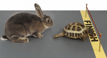 Tortoise Acquisition Corp. Files for $225M SPAC IPO