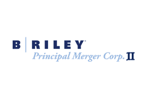 B. Riley Principal Merger Corp. II Files for $200M SPAC