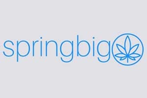 Tuatara Capital (TCAC) Adjusts springbig Deal Again