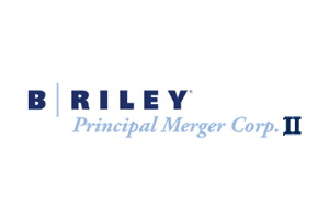 B. Riley Principal Merger Corp. II Files for $200M SPAC