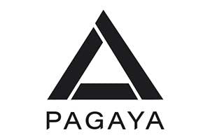 EJF Acquisition Corp. (EJFA) Shareholders Approve Pagaya Deal