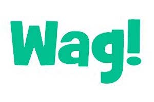 CHW Acquisition Corp. (CHWA) Shareholders Approve Wag Deal
